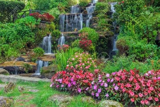 Landscaping & Hardscaping TSPO Construction License # 1160682